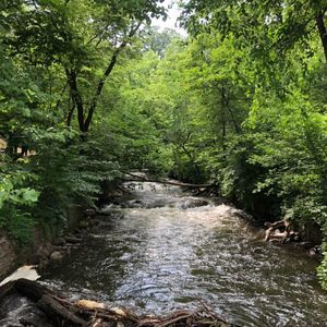 Meet your Posher, Feng